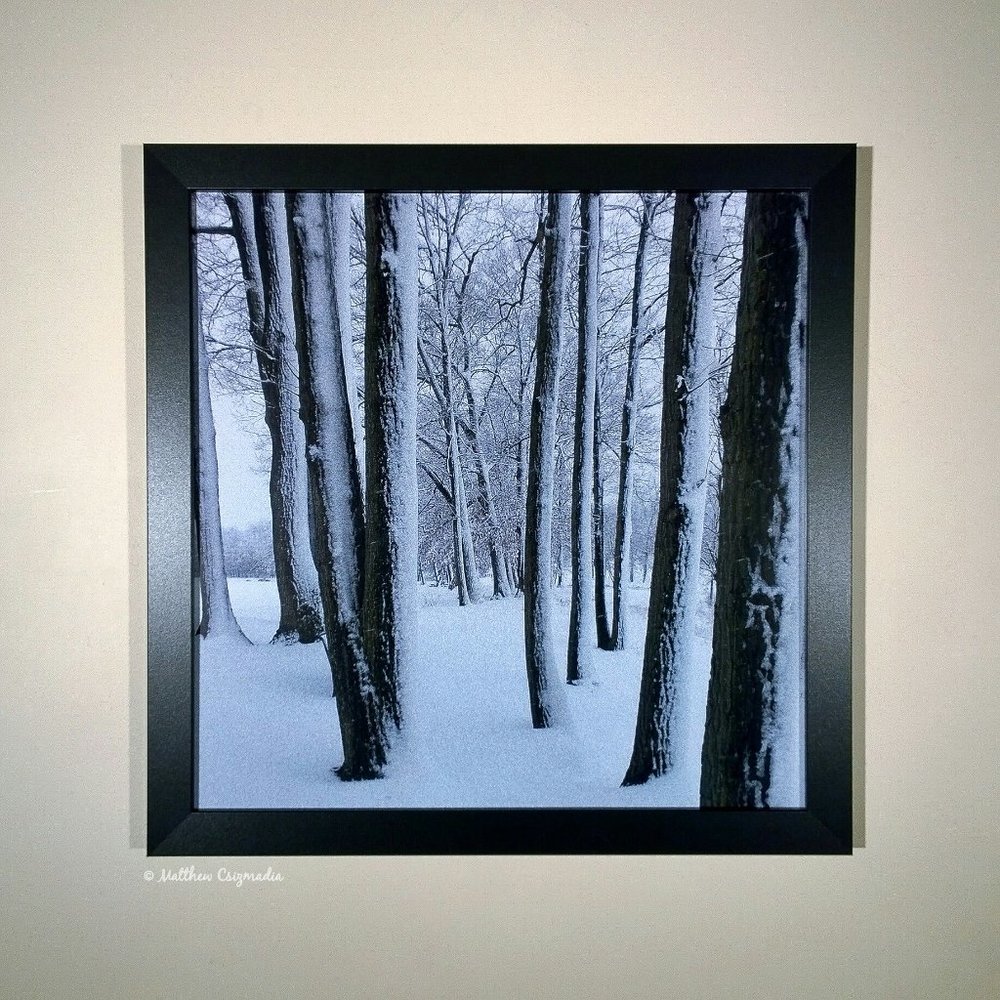 Meandering Through a Winter Wonderland